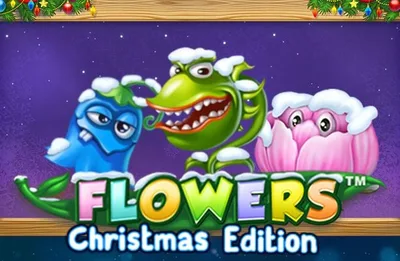 Flowers Christmas Edition